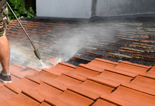 Best Affordable Pressure Washing  in Shell Point, SC